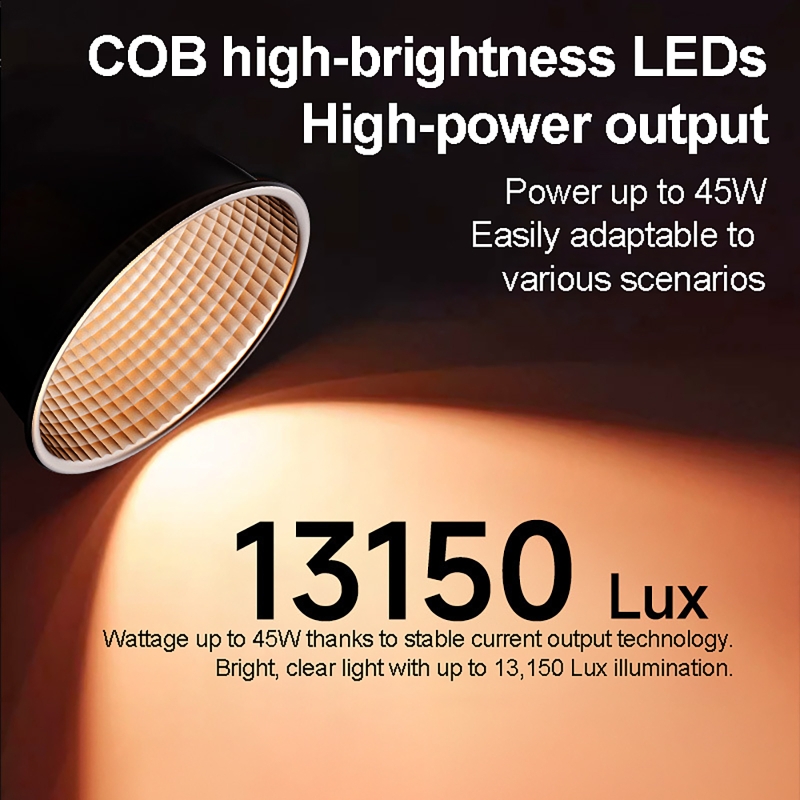 60W RGB Video Light Portable L - Photography Lighting Handheld recension och pris